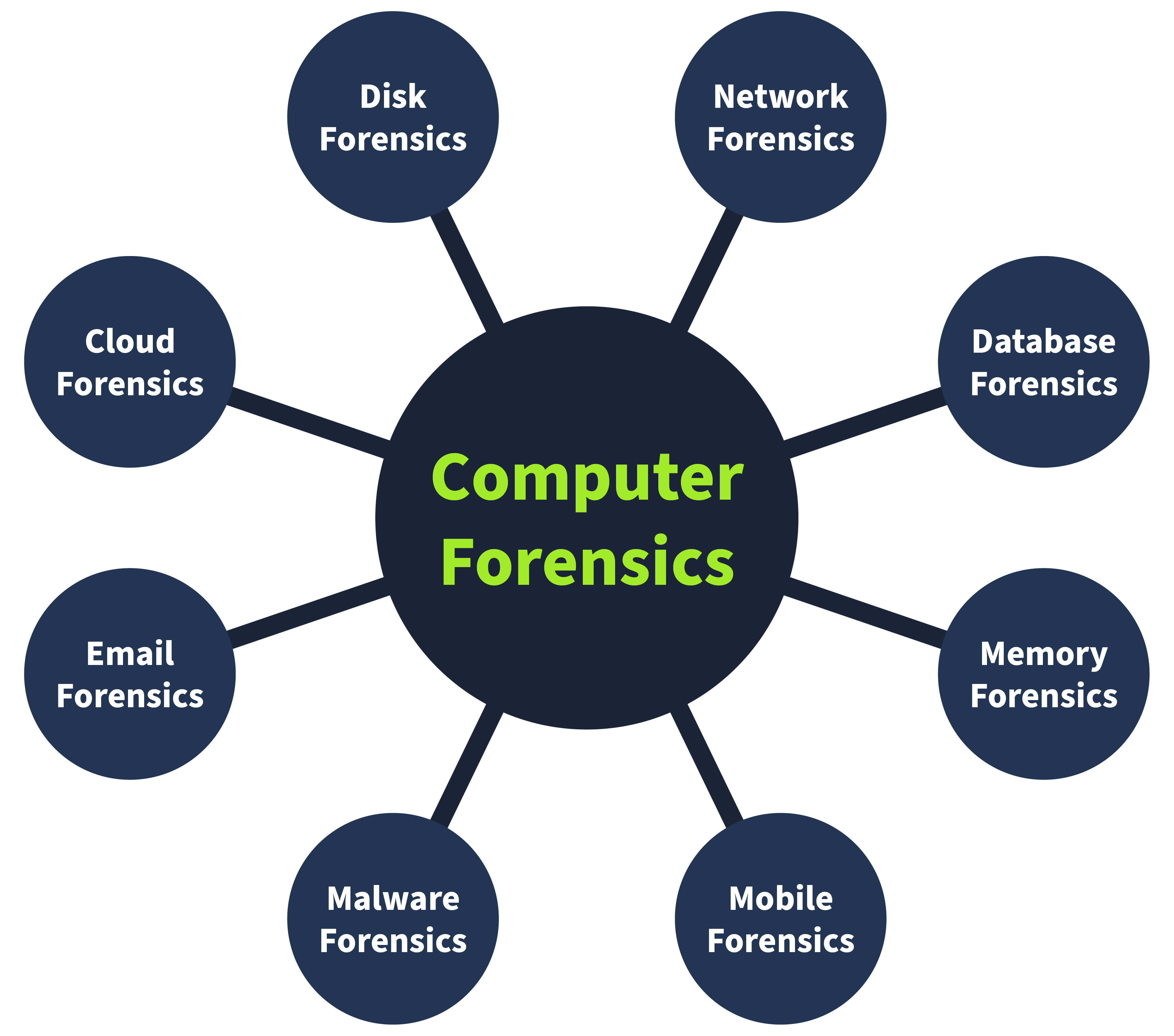The different fields of digital forensics around it.