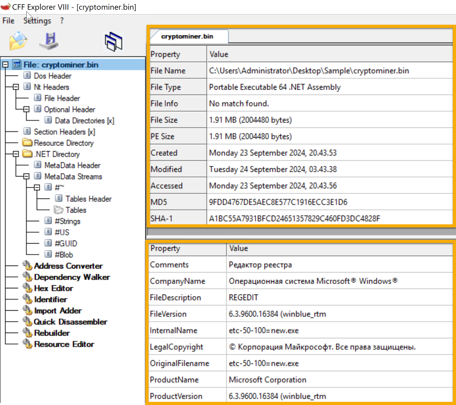 the image shows the information of the file when opened using the CFF explorer tool.