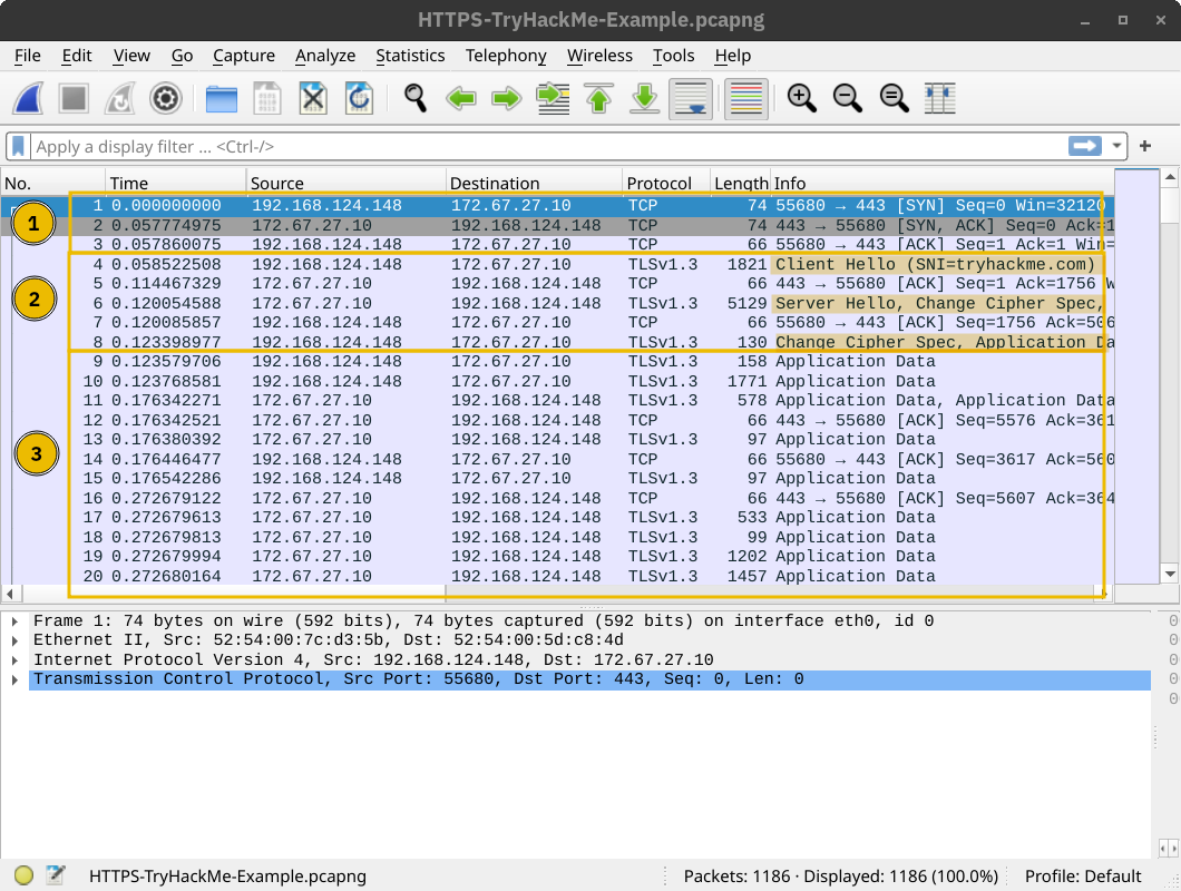 Wireshark displaying a TCP connection getting established, a TLS session getting established, and encrypted application data