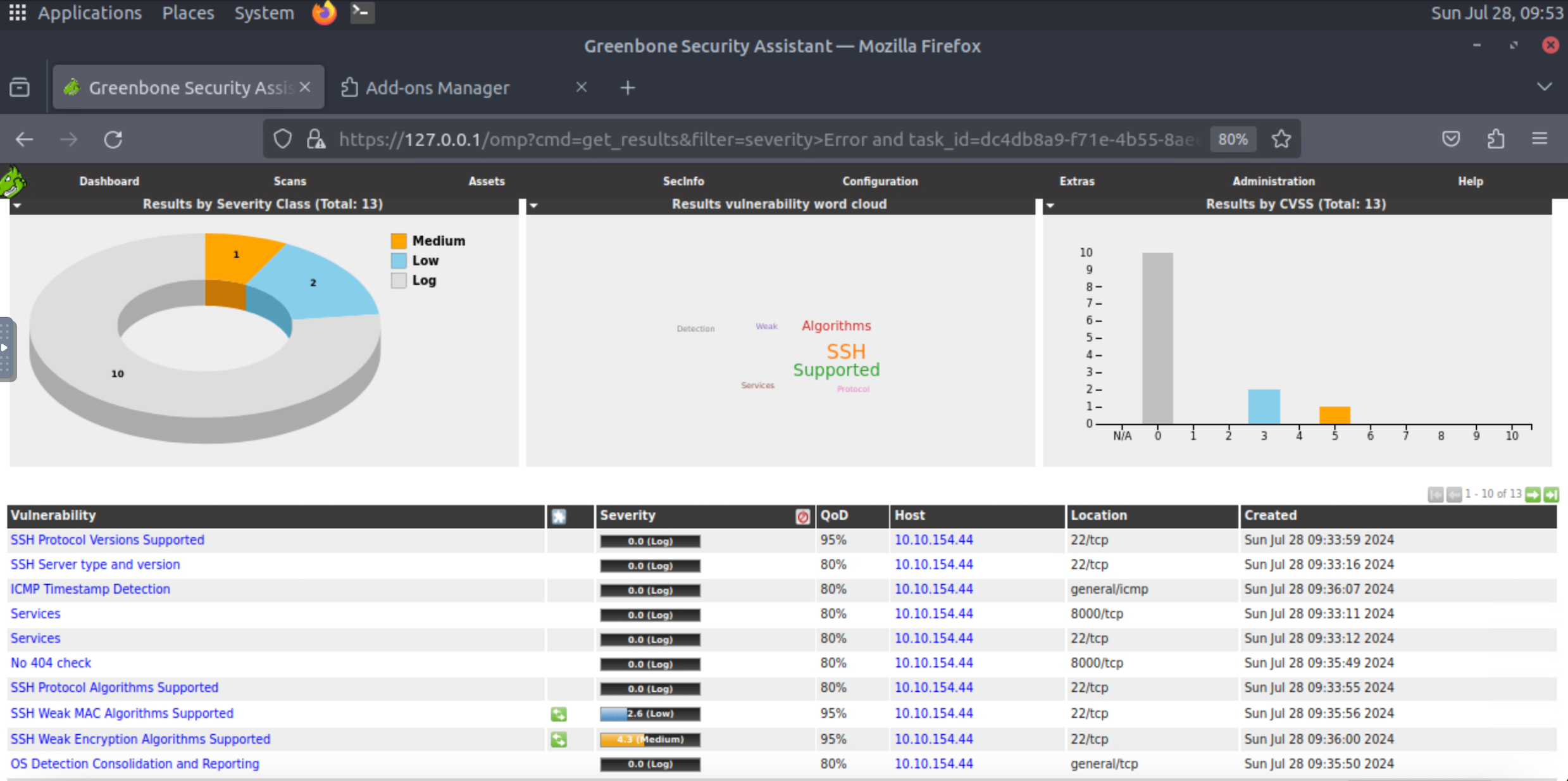 Detailed list of vulnerabilities.