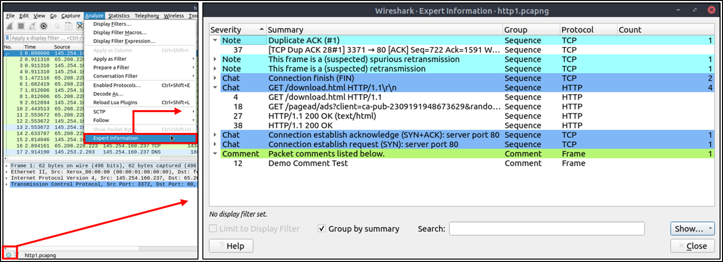 Wireshark - expert info