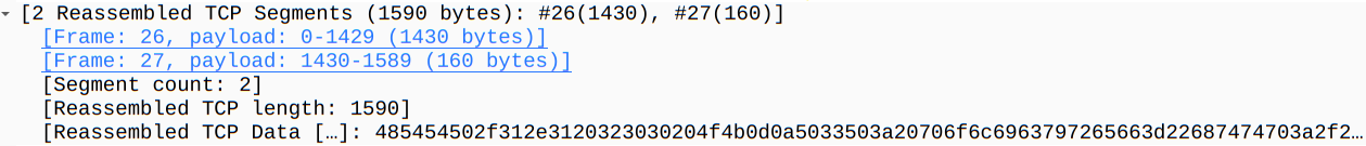 Wireshark - protocol error